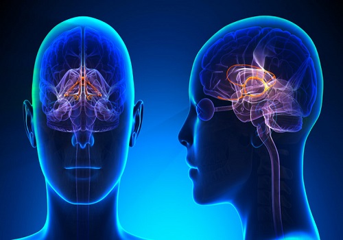 neuro